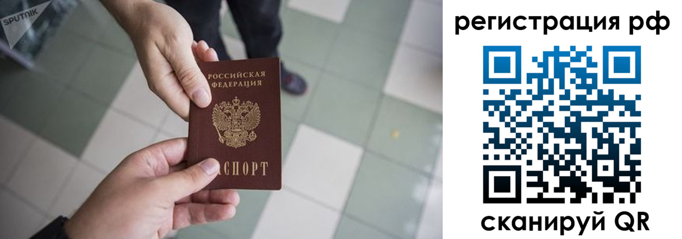 прописка гарантия в Алейске